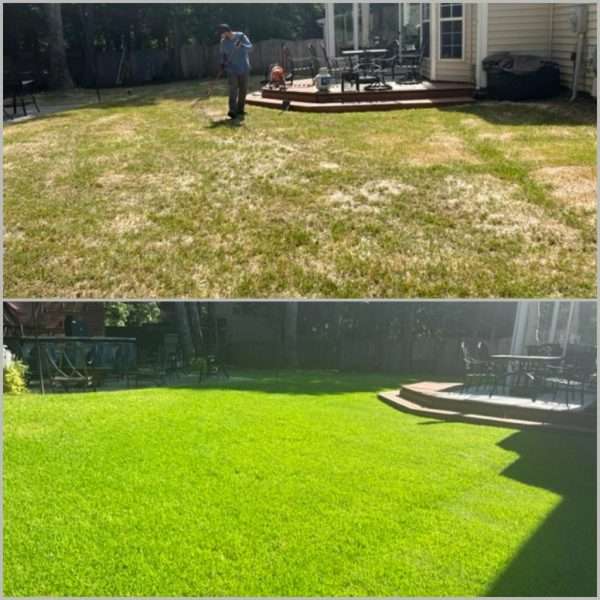 Honeycutt Landscaping, Inc | Wingate, NC | 704-389-0159 | Unveiling the Secrets: Elevating Your Lawn with Top-tier Maintenance and Selecting the Finest Lawn Care Company